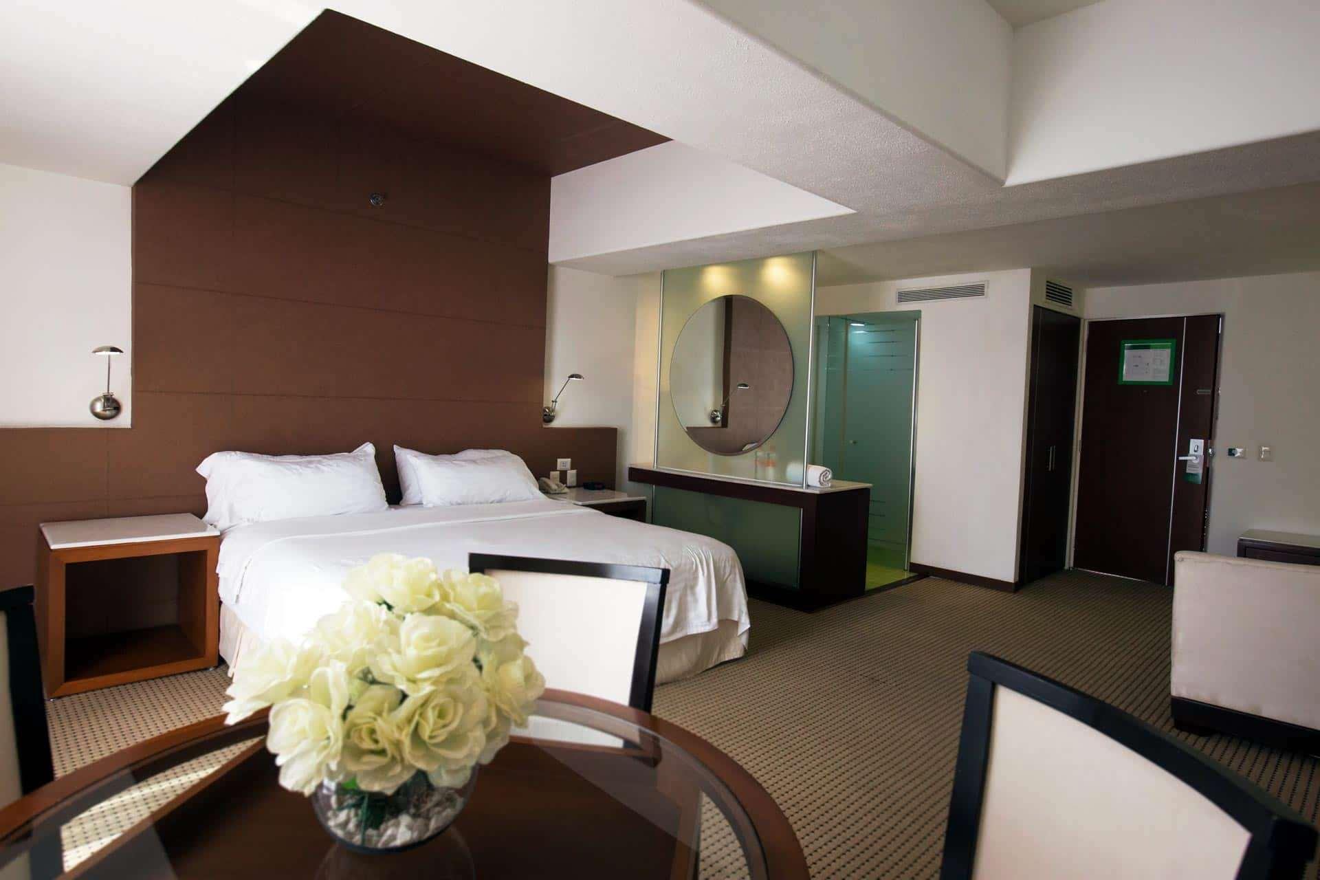 Hotel & Suites Bel Air Business Salamanca Exteriér fotografie